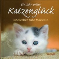 Ein Jahr voller Katzenglück. 365 tierisch süße Momente.
