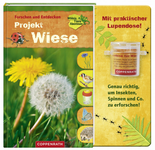 Forschen und Entdecken: Projekt Wiese (Kreativ- und Sachbücher)