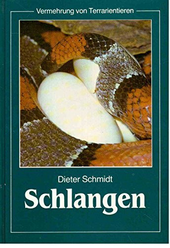 Vermehrung von Terrarientieren: Schlangen