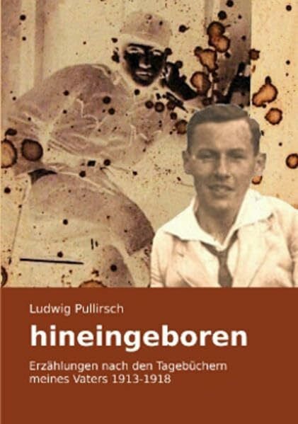 Hineingeboren: Erzählung nach den Tagebüchern meines Vaters 1913-1918. Band 1