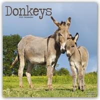 Donkeys - Esel 2022 - 18-Monatskalender