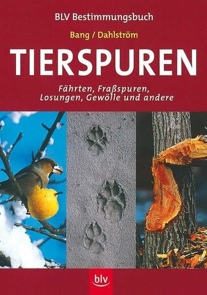 Tierspuren (BLV Bestimmungsbuch)