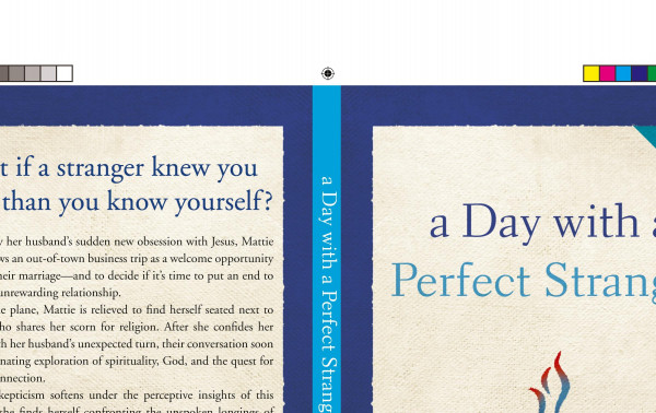 A Day with a Perfect Stranger