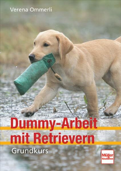 Dummy-Arbeit mit Retrievern: Grundkurs