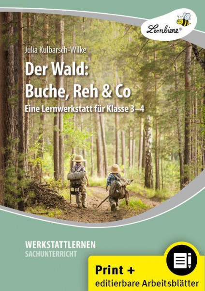 Der Wald: Buche, Reh & Co