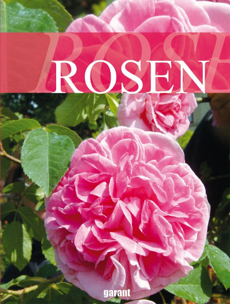 Rosen