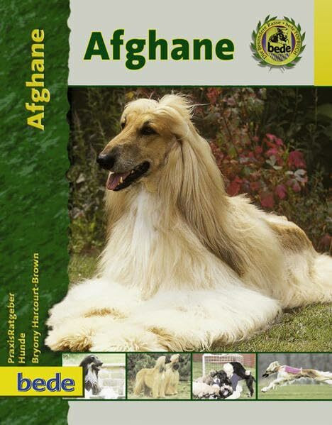 Afghane, Praxisratgeber