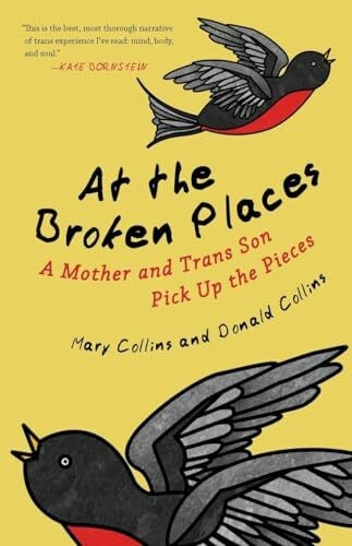 At the Broken Places: A Mother and Trans Son Pick Up the Pieces (Queer Action/Queer Ideas, a Unique Series Addressing Pivotal Issues Within the Lgbtq Movement)