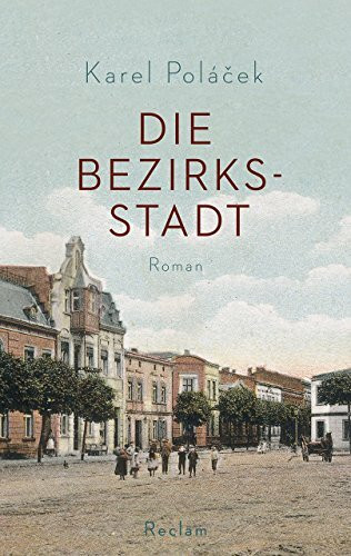 Die Bezirksstadt: Roman