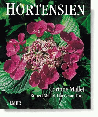 Hortensien