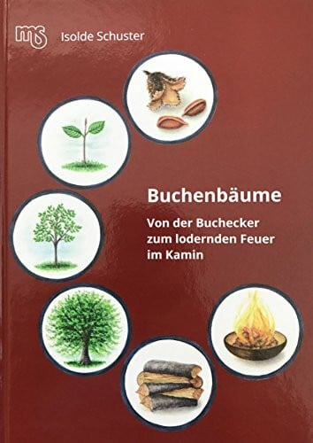 Buchenbäume: Von der Buchecker zum lodernden Feuer im Kamin