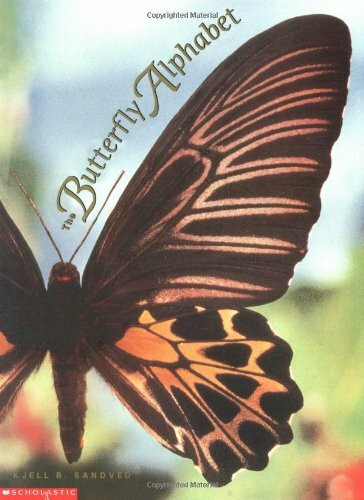 The Butterfly Alphabet