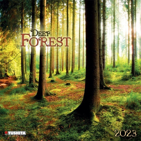 Deep Forest 2023
