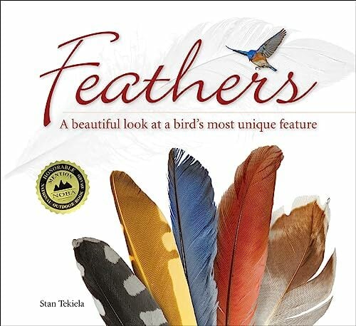 Feathers: A Beautiful Look at a Bird's Most Unique Feature (Nature Appreciation) Feathers: A Beautiful Look at a Bird's Most Unique Feature (Nature Appreciation)