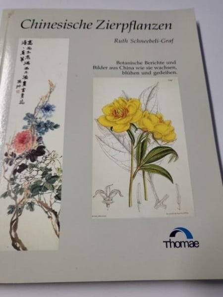 Zierpflanzen Chinas: Botanischer Bericht und Bilder aus dem Blütenland, Teil 1