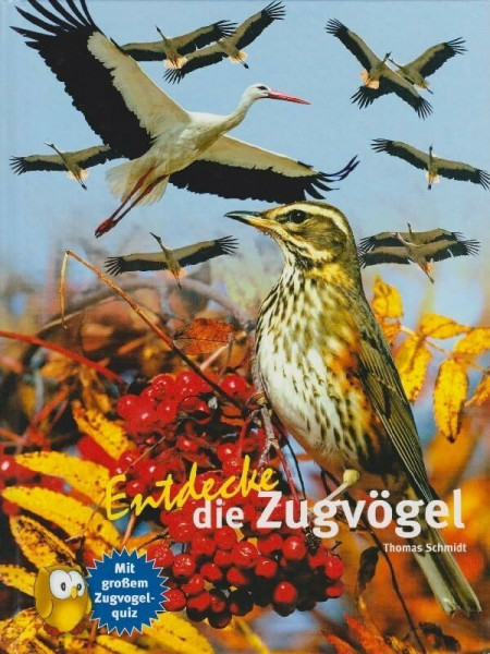 Entdecke die Zugvögel: Mit großem Zugvogelquiz (Entdecke - Die Reihe mit der Eule: Kindersachbuchreihe)