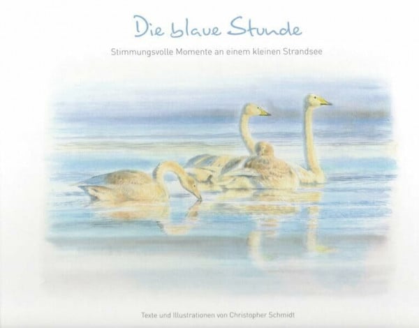 Die blaue Stunde: Stimmungsvolle Momente an einem kleinen Strandsee