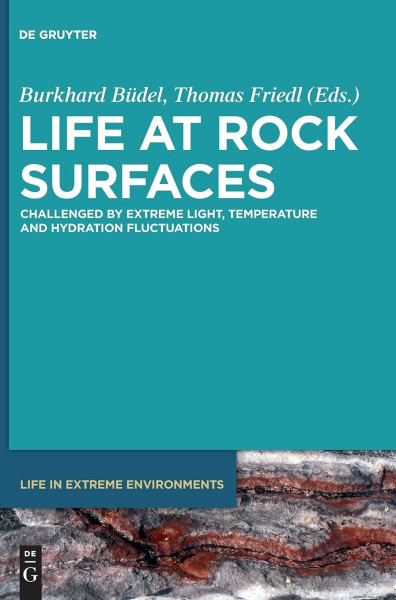 Life at Rock Surfaces: Challenged by Extreme Light, Temperature and Hydration Fluctuations (Life in Extreme Environments, 9)