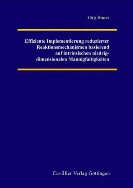 Effiziente Implementierung reduzierter Reaktionsmechanismen basierend auf intrinsischen niedrig-dime