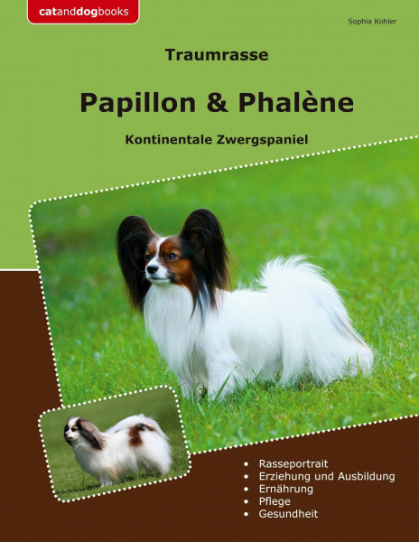 Traumrasse Papillon & Phalène: Kontinentale Zwergspaniel
