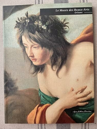 musee des beaux arts orleans
