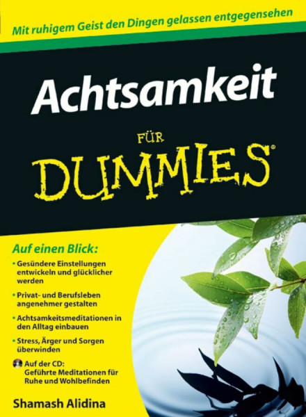 Achtsamkeit für Dummies: Mit ruhigem Geist den Dingen gelassen entgegensehen. Auf der CD: Geführte Meditationen