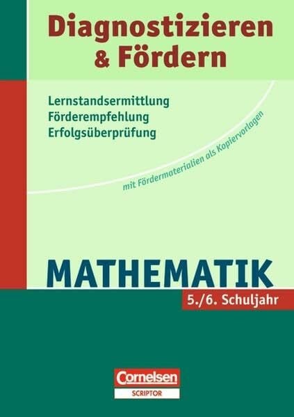 Diagnostizieren und Fördern - Kopiervorlagen - Mathematik: 5./6. Schuljahr - Kopiervorlagen