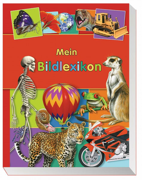 Mein Bildlexikon: Mit holografischem 3D-Cover
