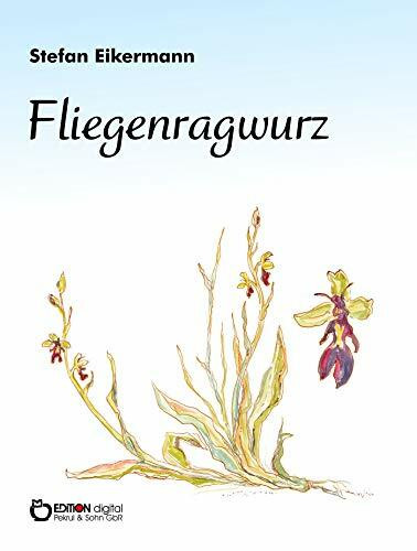 Fliegenragwurz