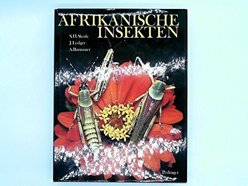 Afrikanische Insekten