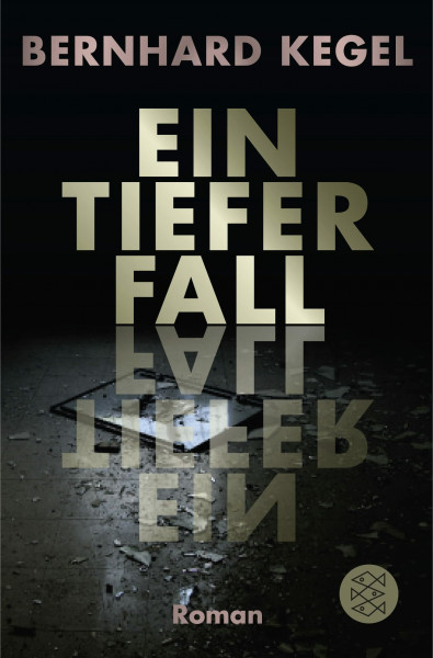 Ein tiefer Fall: Roman