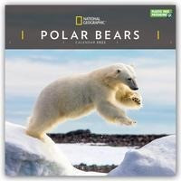 Polar Bears - Eisbären 2022 - 16-Monatskalender