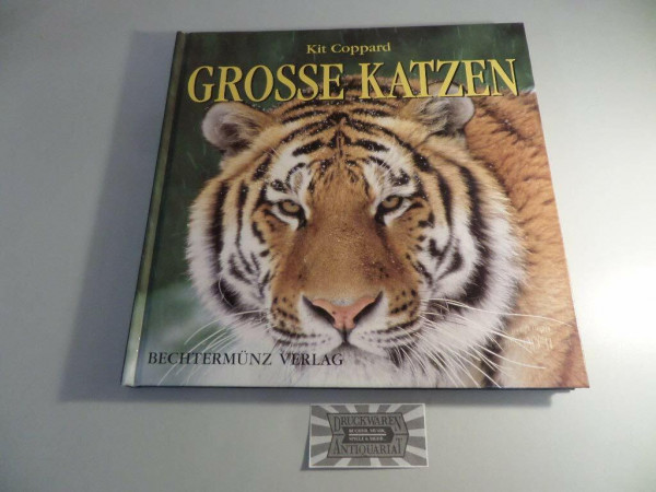 Große Katzen