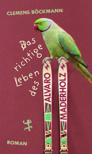 Das richtige Leben des Alvaro Maderholz: Roman