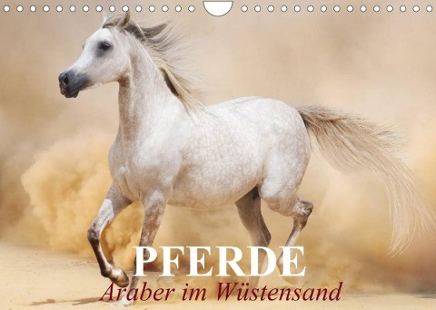 Pferde . Araber im Wüstensand (Wandkalender 2022 DIN A4 quer)