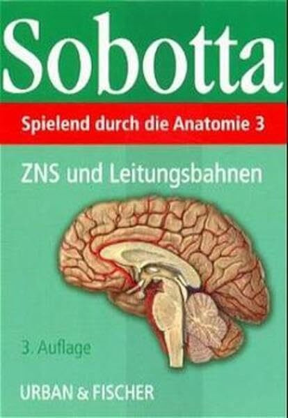 Spielend durch die Anatomie, Lernkarten, Tl.3, ZNS und Leitungsbahnen, 126 Lernkarten