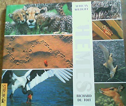 African Wildlife Themes