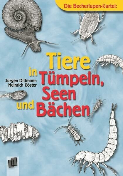 Tiere in Tümpeln, Seen und Bächen (Die Becherlupen-Kartei)