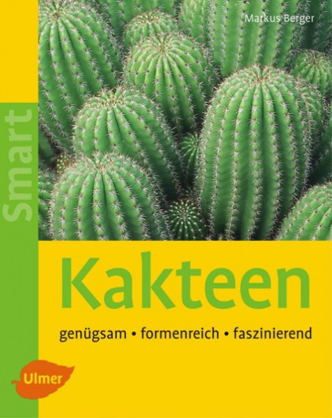 Kakteen