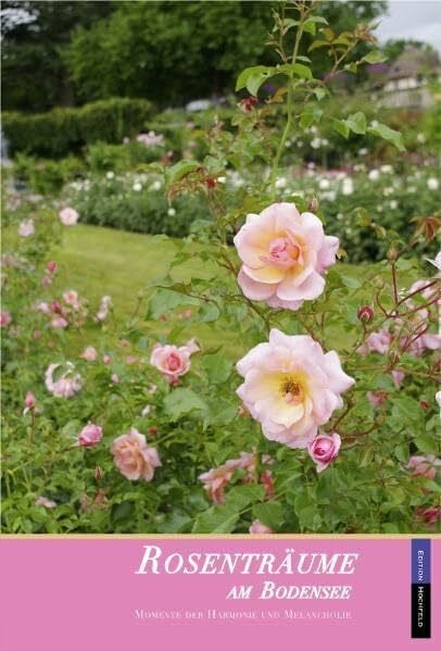 Rosenträume am Bodensee: Momente der Harmonie und Poesie