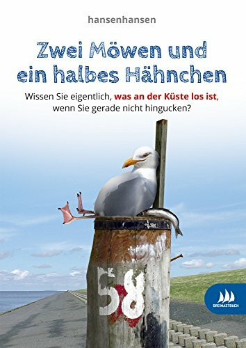 Zwei Möwen und ein halbes Hähnchen: Wissen Sie eigentlich, was an der Küste los ist, wenn Sie gerade nicht hingucken?