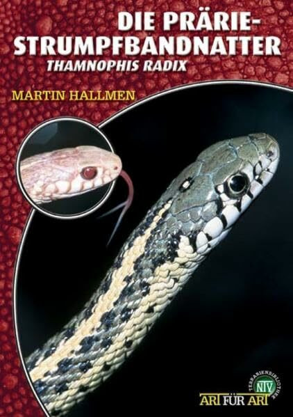 Die Prärie-Strumpfbandnatter: Thamnophis radix (Buchreihe Art für Art Terraristik)