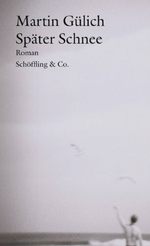 Später Schnee (Gebundene Ausgabe): Roman
