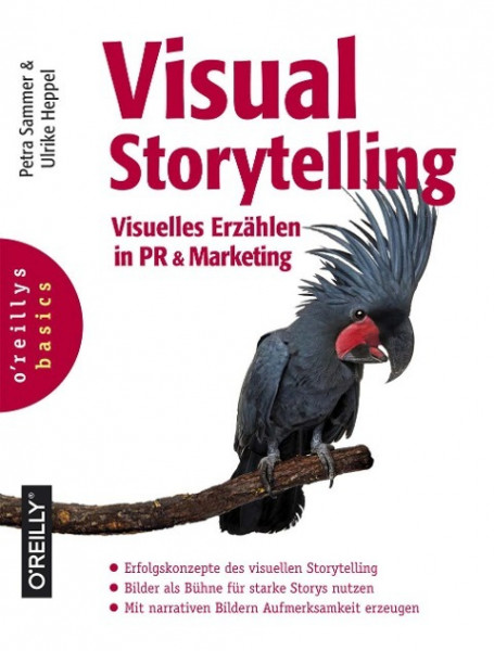 Visual Storytelling