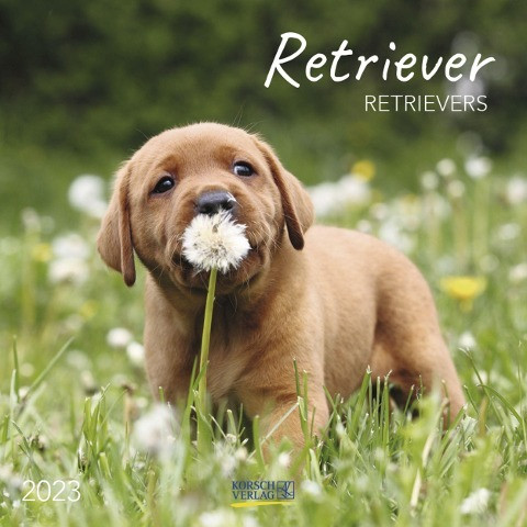 Retriever 2023