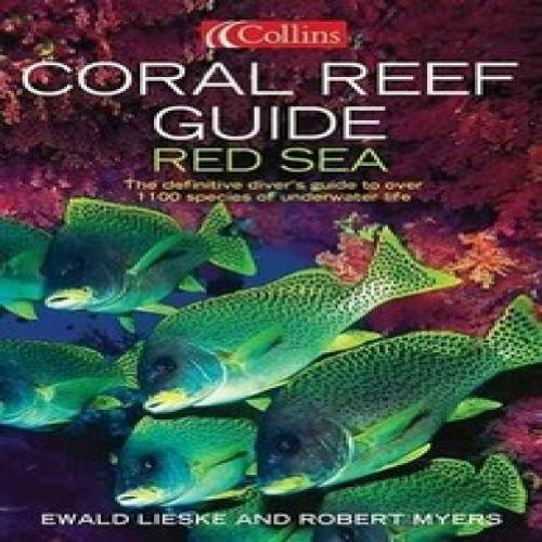 coral-reef-guide-red-sea