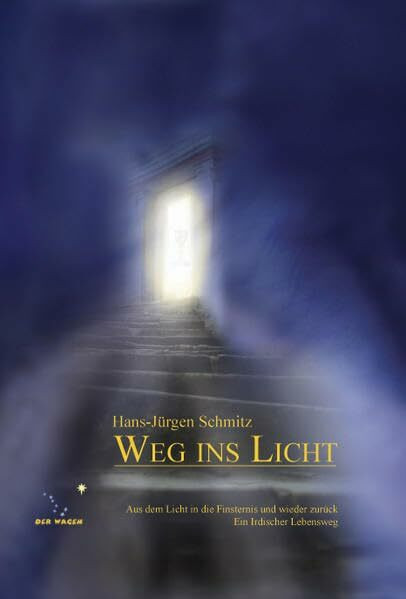 Weg ins Licht: Aus dem Licht in die Finsternis und wieder zurück. Ein Irdischer Lebensweg