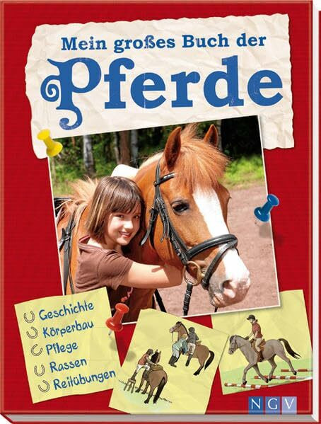 Mein großes Buch der Pferde: Geschichte-Körperbau-Pflege-Rassen-Reitübungen