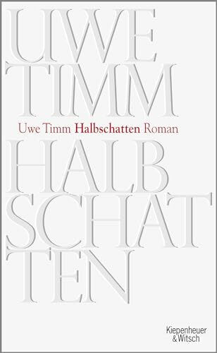 Halbschatten: Roman