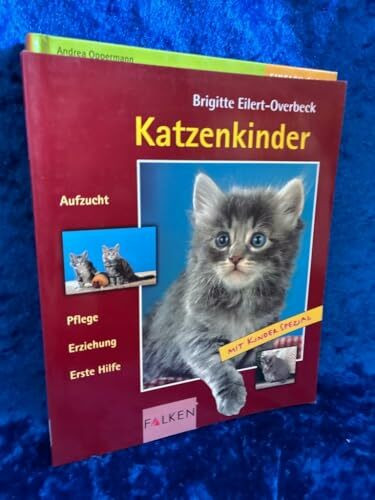 Katzenkinder